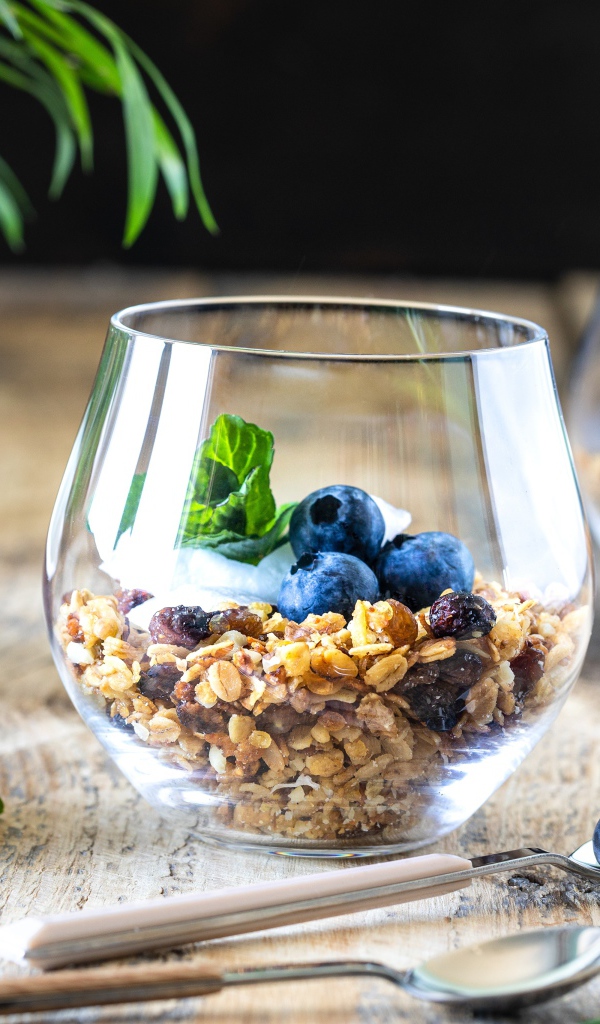 Мюсли с ягодами черники на столе с кокосом