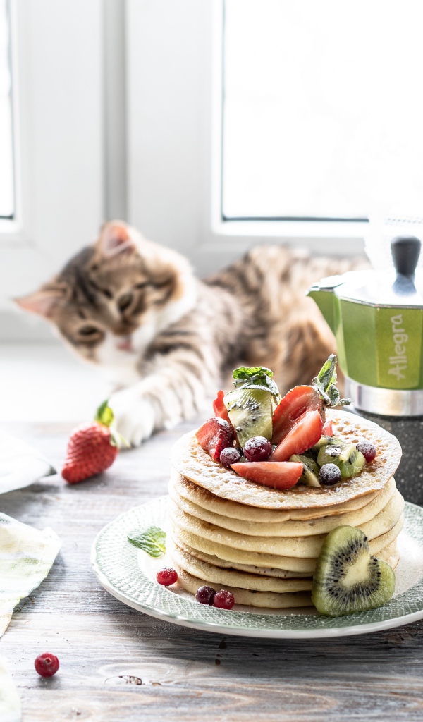 Блины на столе с ягодами, медом и котом 