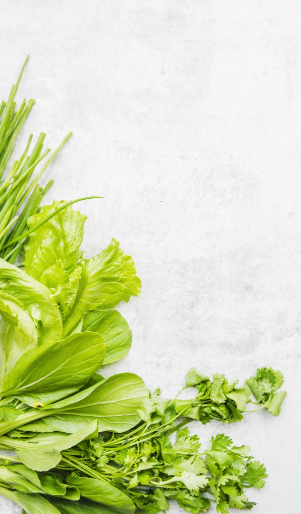 Зелень петрушки и лука, листья салата и свежие огурцы на белом фоне