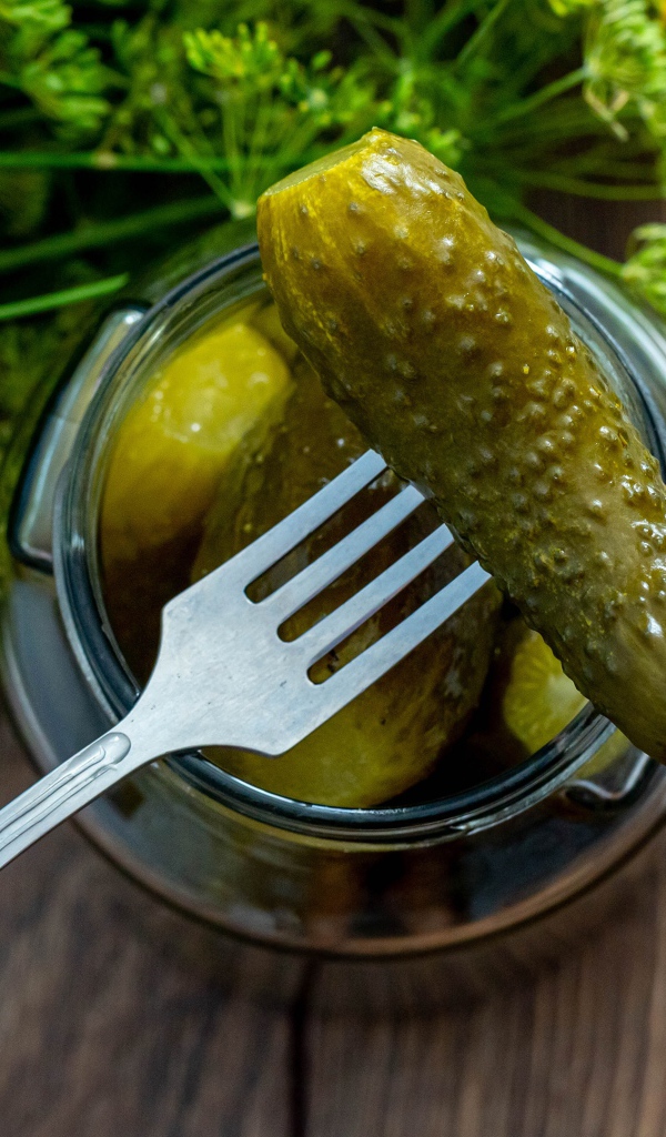 Pickled cucumbers in a jar on a table with garlic and dill