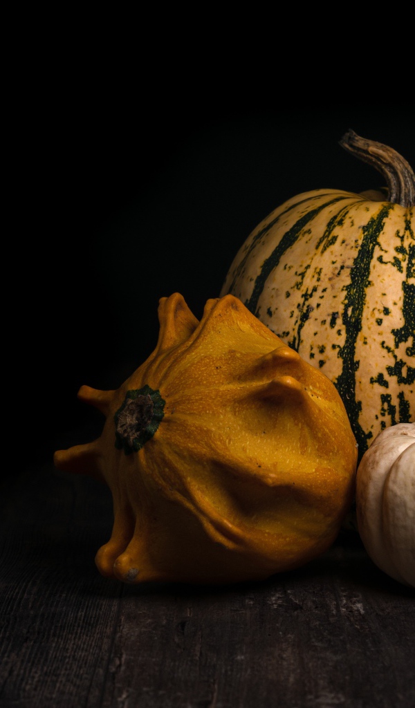 Тыква на черном фоне крупным планом