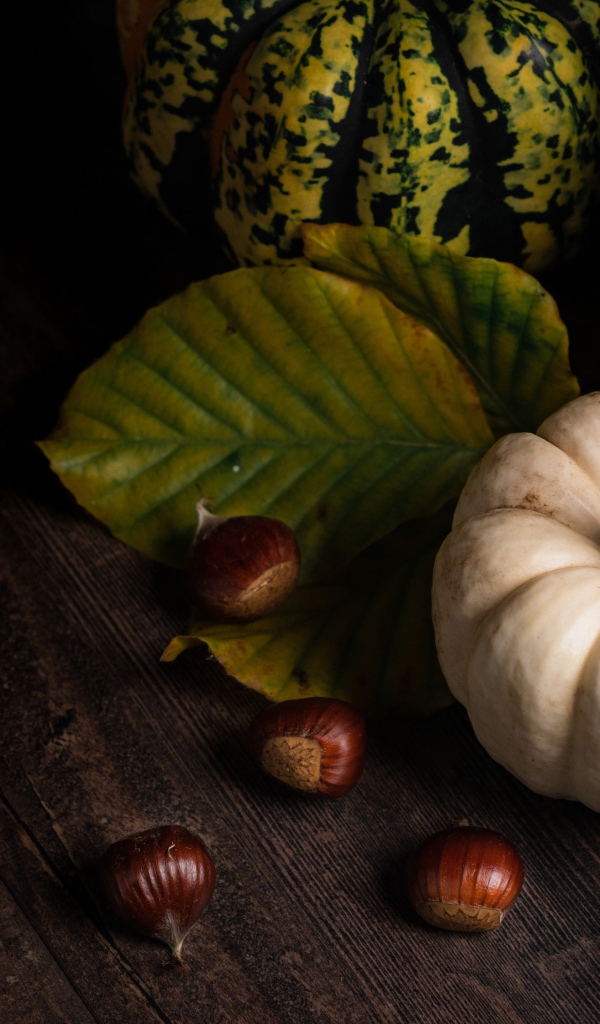 Тыква с каштанами на деревянном столе 