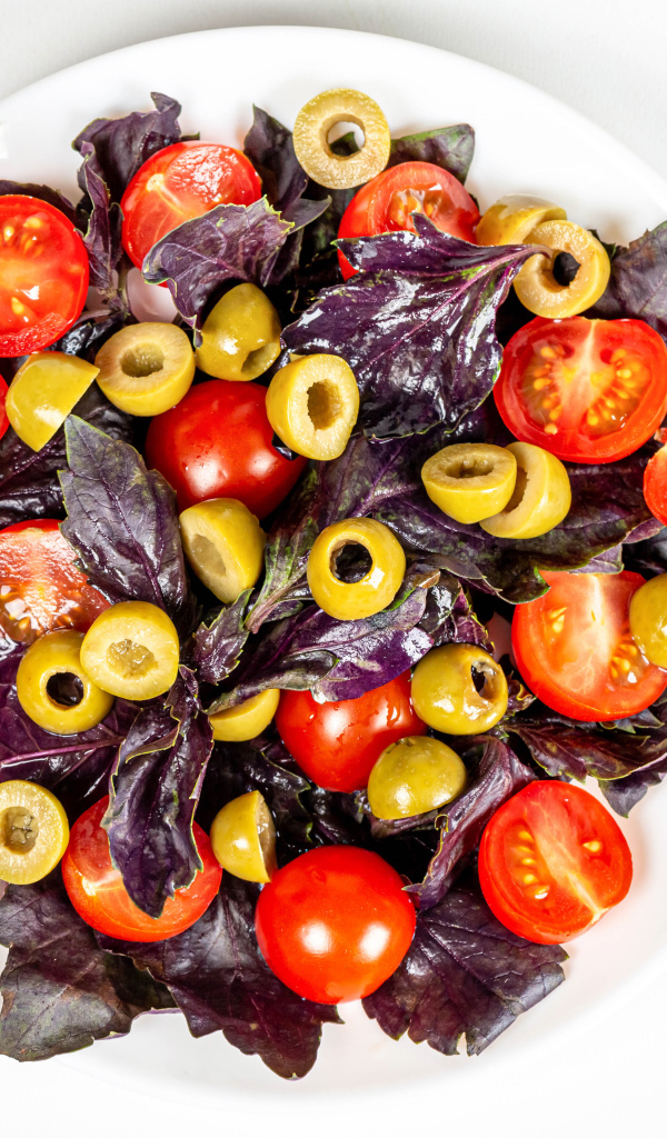 Салат с листьями базилика, помидорами и оливками на белом фоне