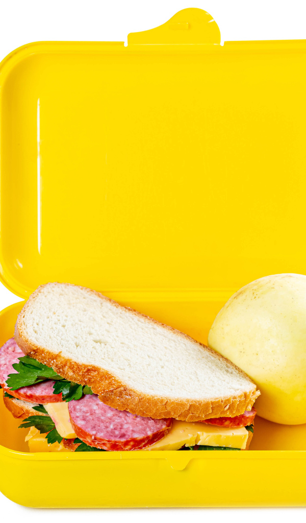 Бутерброд и яблоко в контейнере на белом фоне