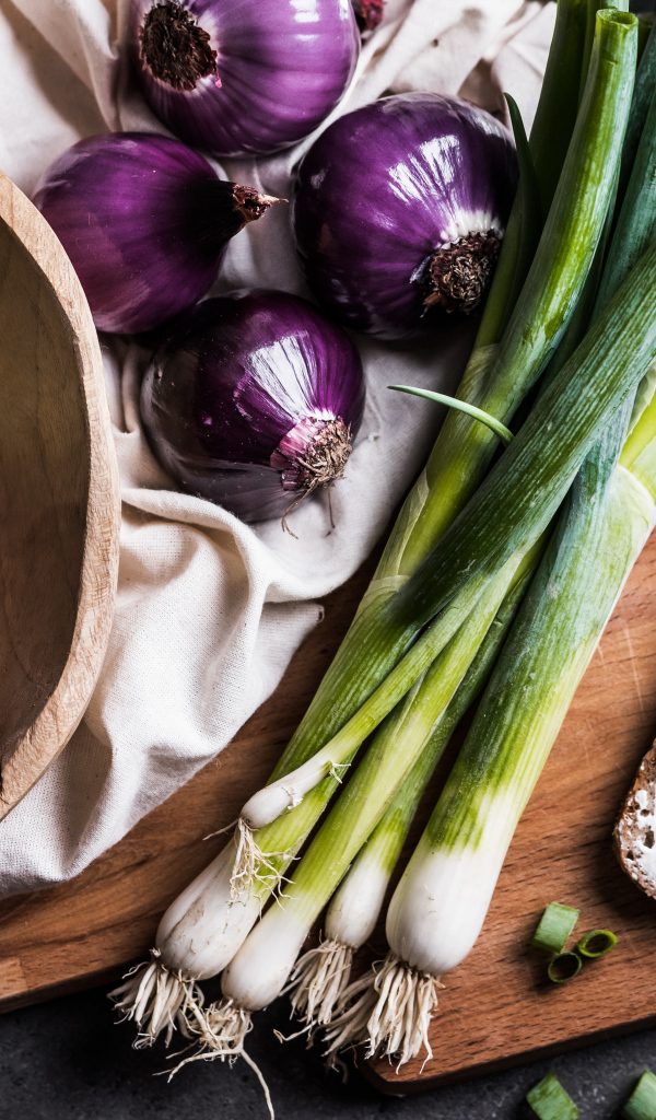 Бутерброд на столе с зеленым и репчатым луком