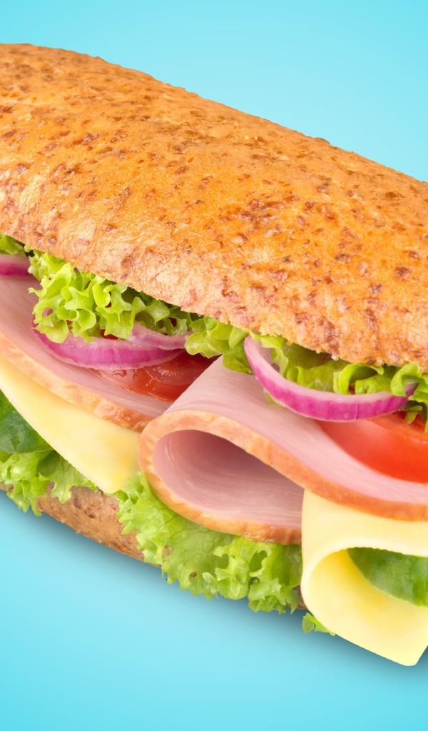 Бутерброд с ветчиной,сыром, помидорами луком и салатом на голубом фоне