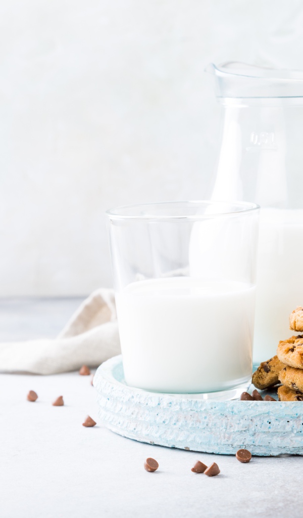 Песочное печенье с шоколадом на столе с молоком