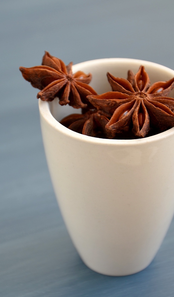 Звездочки бадьяна в белой чашке на столе 