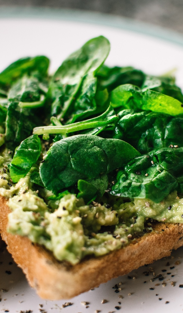 Тосты с соусом песто и листьями базилика 