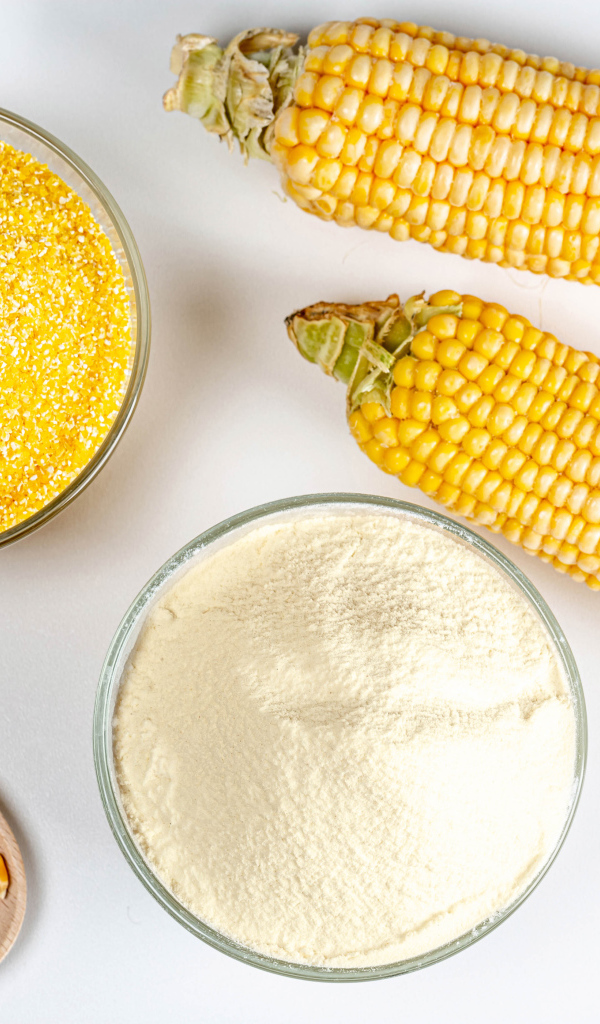 Два початка кукурузы на белом фоне с крупой и мукой 