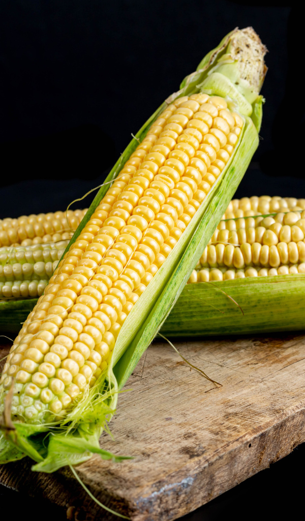 Два початка кукурузы на деревянной доске 