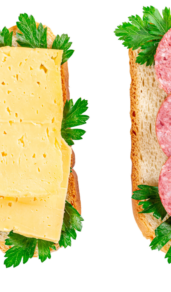 Два бутерброда с сыром,колбасой,петрушкой на белом фоне