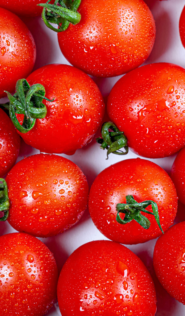 Мокрые красные помидоры крупным планом