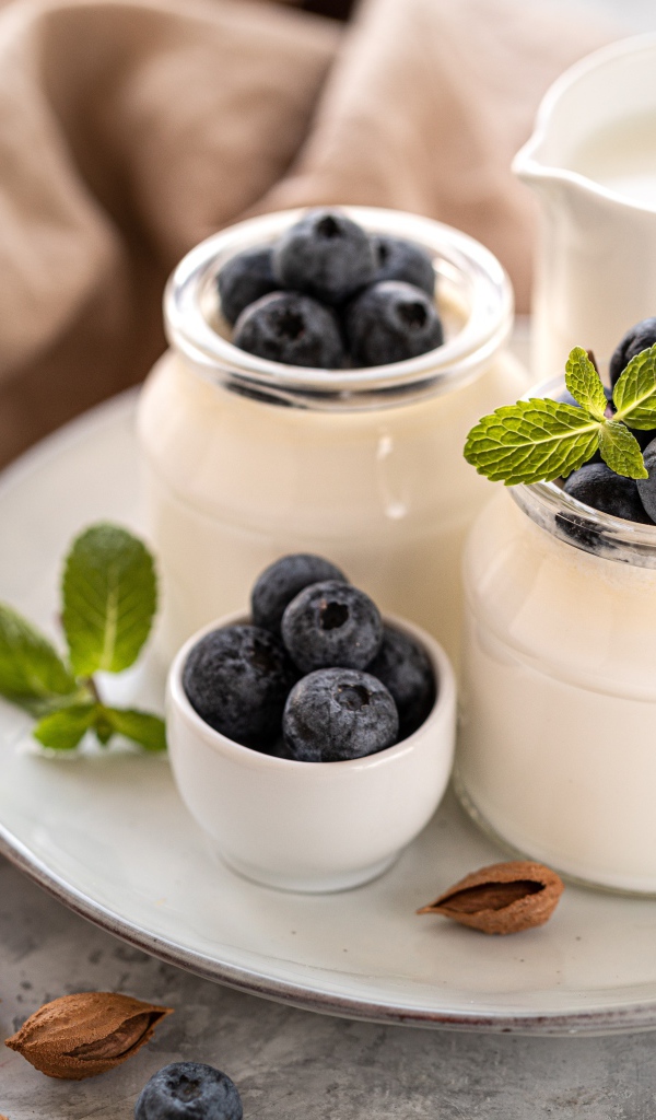 Йогурт на тарелке с ягодами черники 