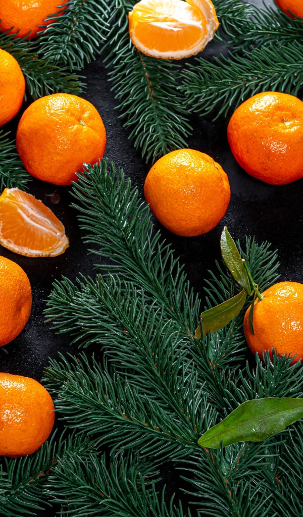 Много мандаринов на столе с еловыми ветками