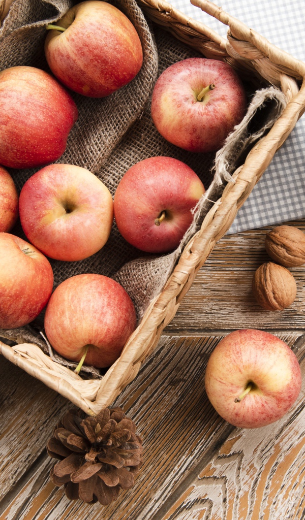 Корзина с яблоками на столе с сосновыми шишками