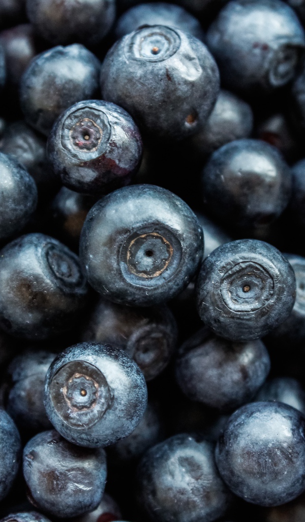 Ягоды черники крупным планом 