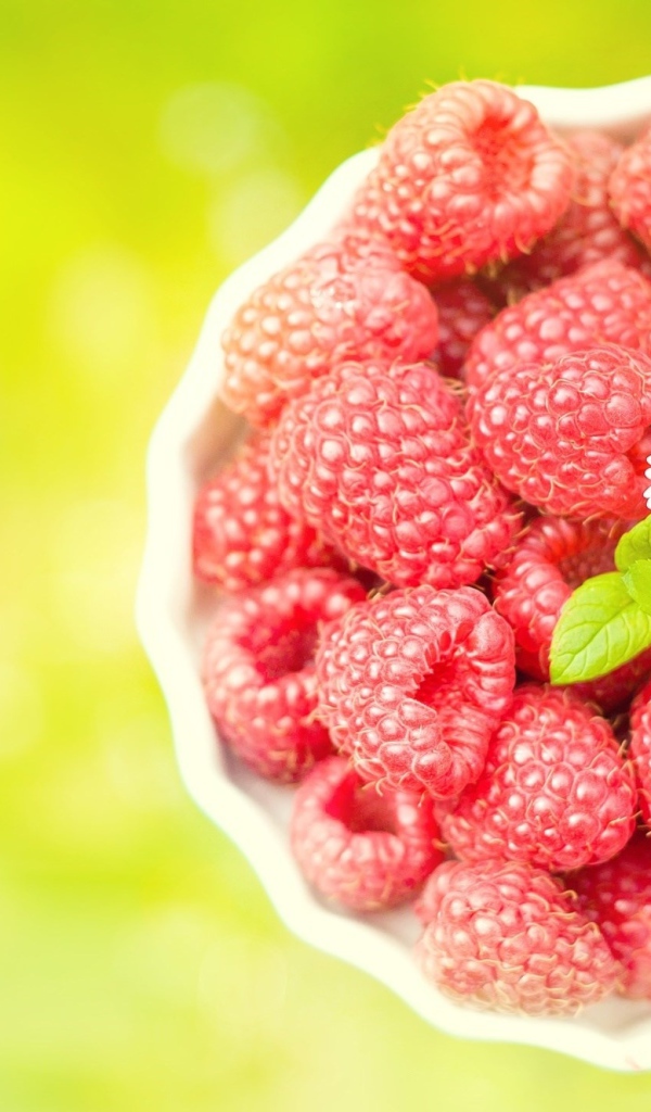 Миска спелой малины с белой ромашкой