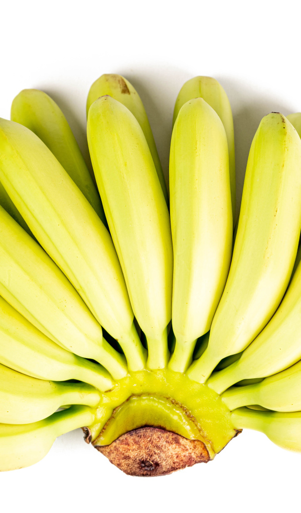 Связка спелых бананов на белом фоне