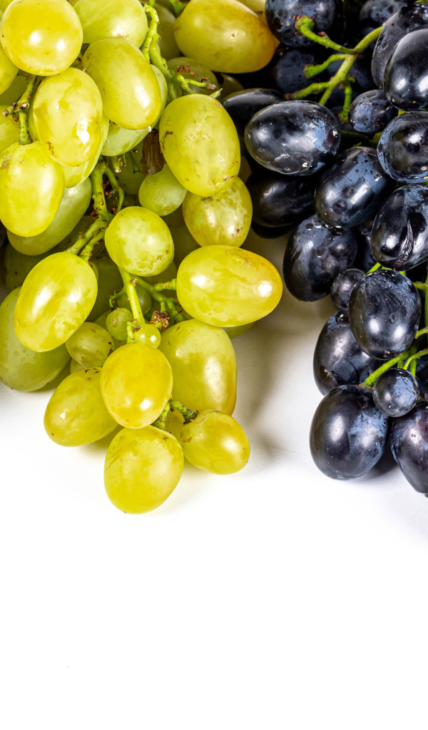 Грозди разноцветного винограда на белом фоне