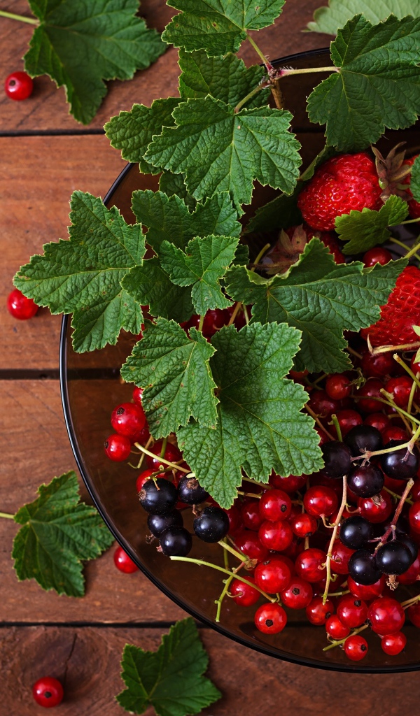 Ягоды смотродины в миске с клубникой и зелеными листьями