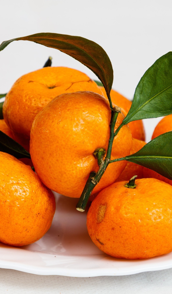 Fresh orange tangerines with green leaves on a white plate