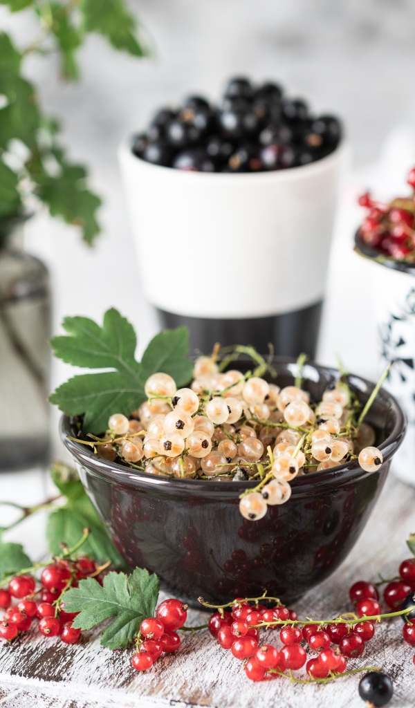 Свежая красная, черная и белая смородина на столе