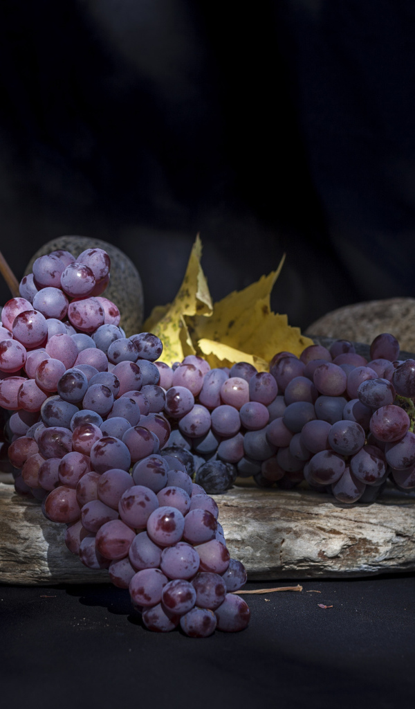 Большие гроздья розового винограда с камнями
