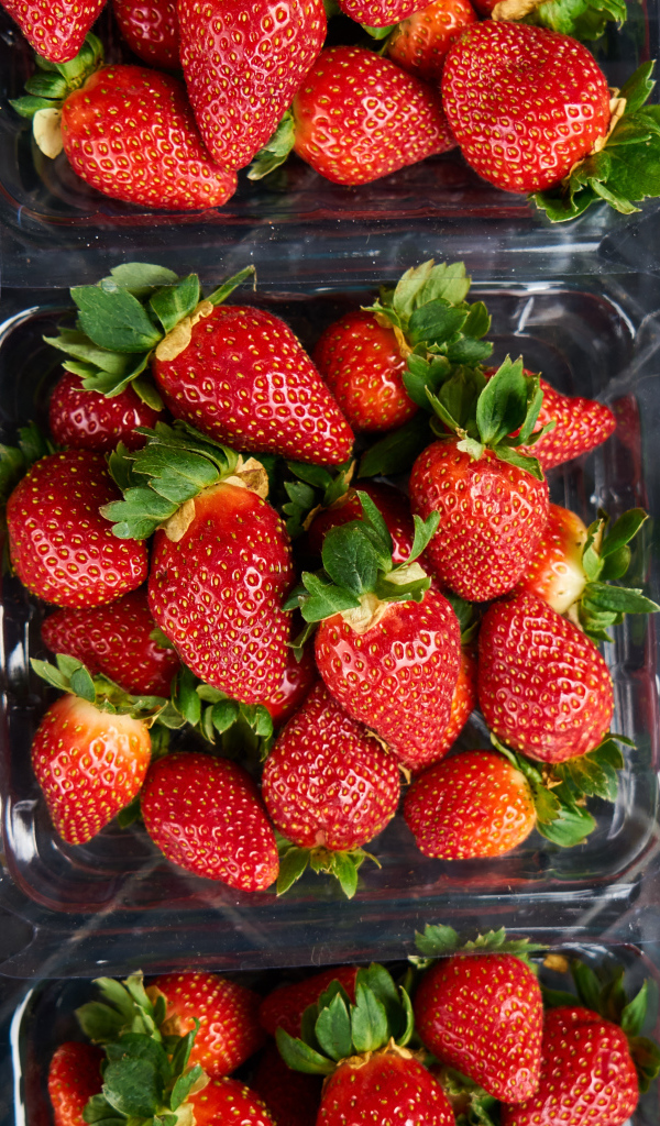 Много контейнеров со спелой сочной красной клубникой 