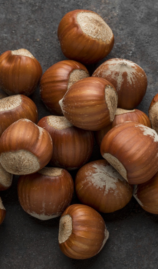 Много лесных орехов на сером столе 