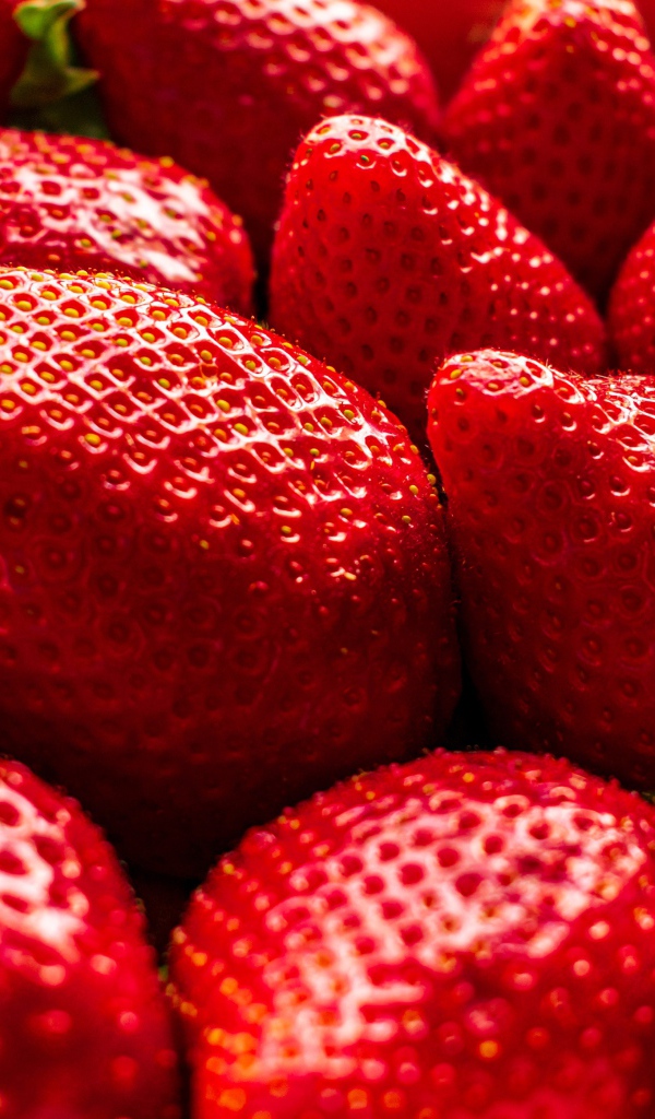 Много сладкой спелой красной клубники крупным планом