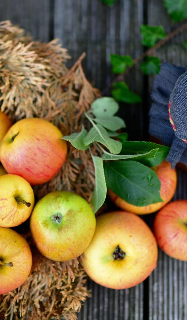 Много спелых яблок на столе с вареньем 