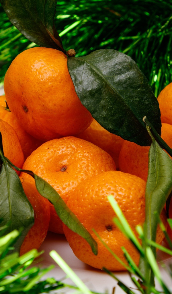 Оранжевые мандарины с мишурой 