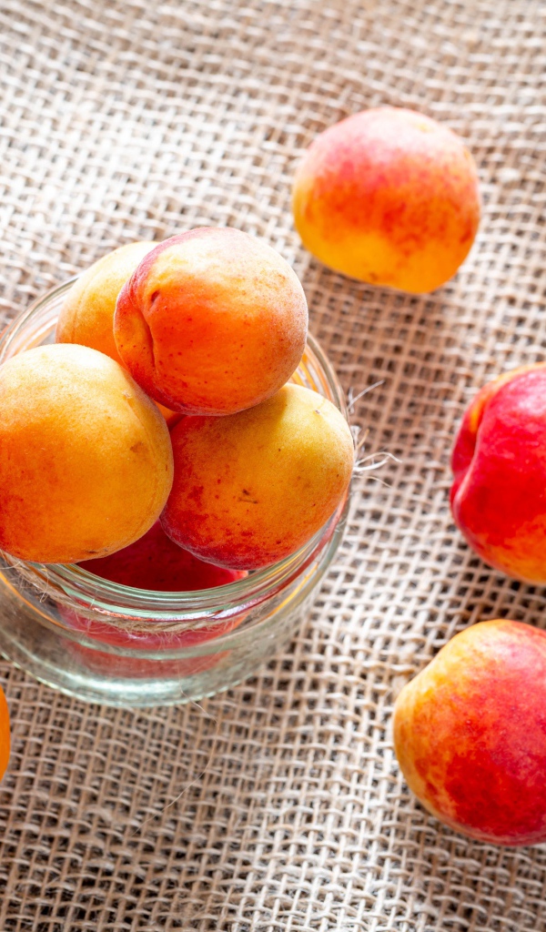 Спелые абрикосы в стеклянной банке на столе 