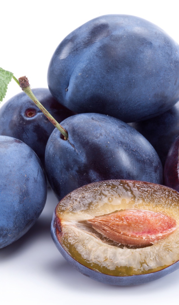 Спелые синие сливы на белом фоне