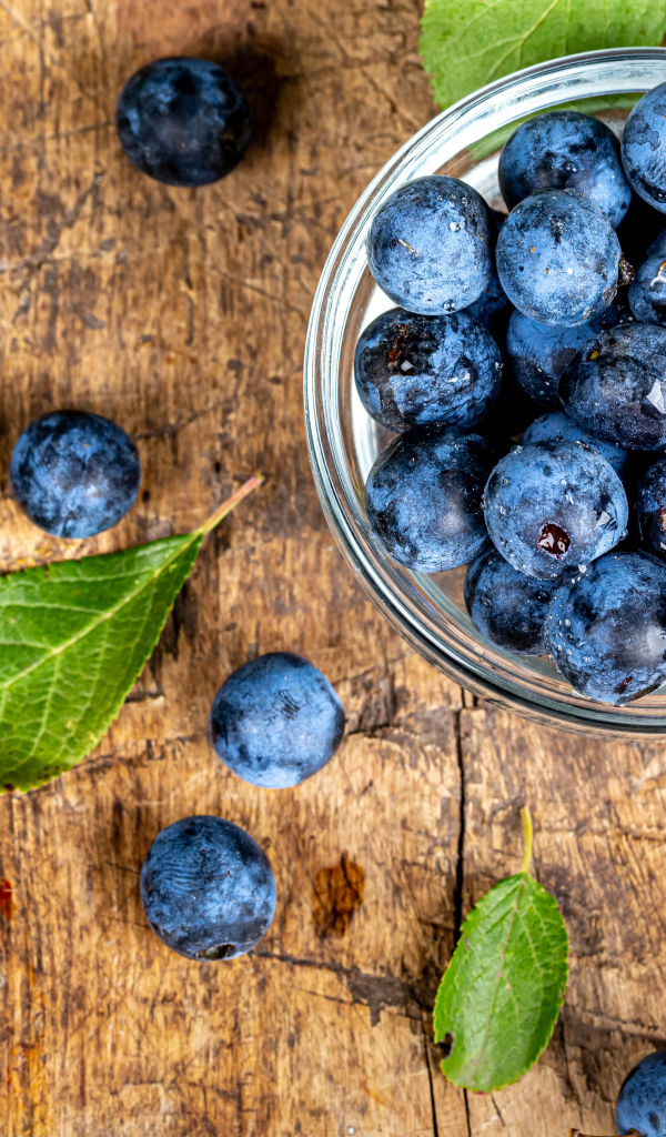 Спелые ягоды черники в стеклянной миске на столе 