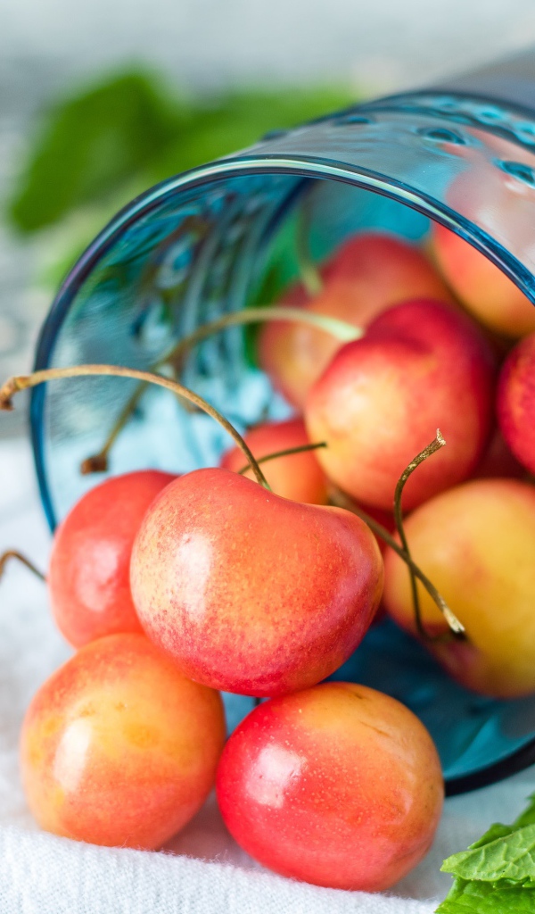 Спелые сочные ягоды черешни в стакане 