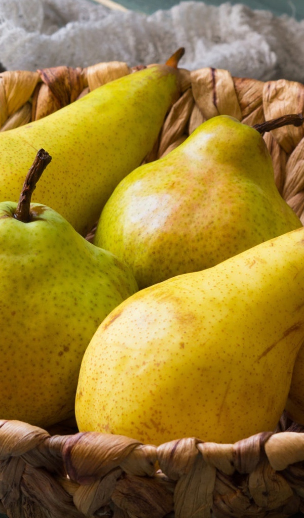 Спелые груши лежат в корзине на столе