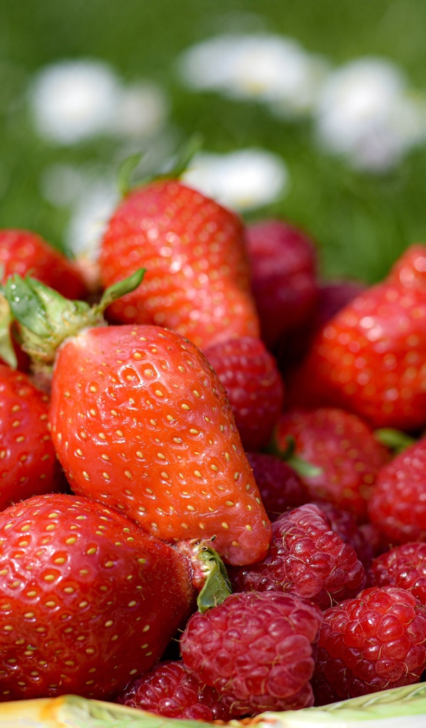 Спелая малина с ягодами клубники в тарелке 