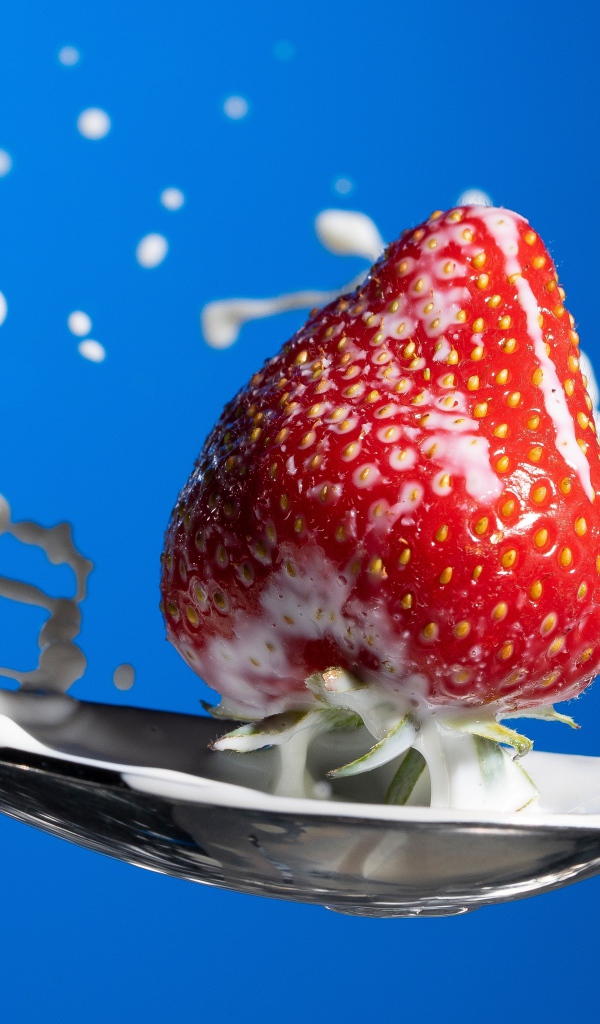 Спелая красная клубника в ложке молока на голубом фоне