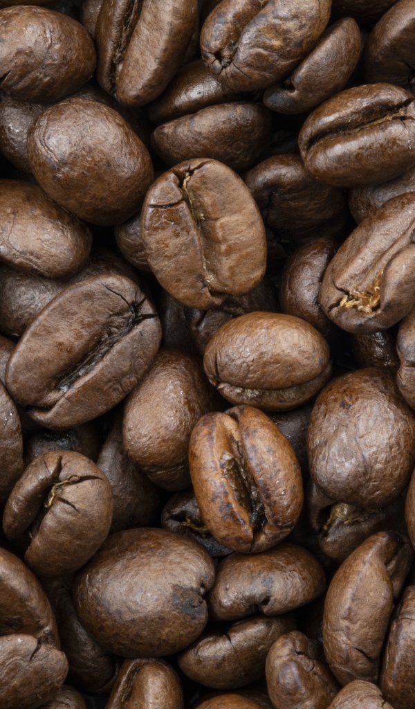 Жареные ароматные  кофейные зерна крупным планом