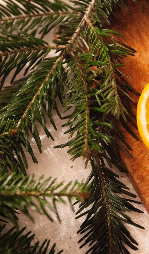 Еловая ветка с кусочками апельсина, корицей и гвоздикой 