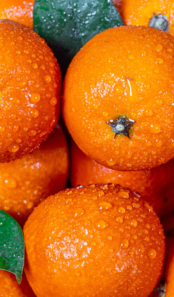 Tangerines in drops of water close-up