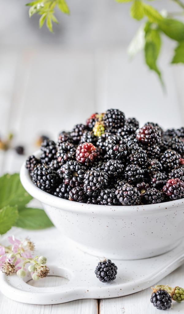 Вкусная ежевика на столе с ветками 