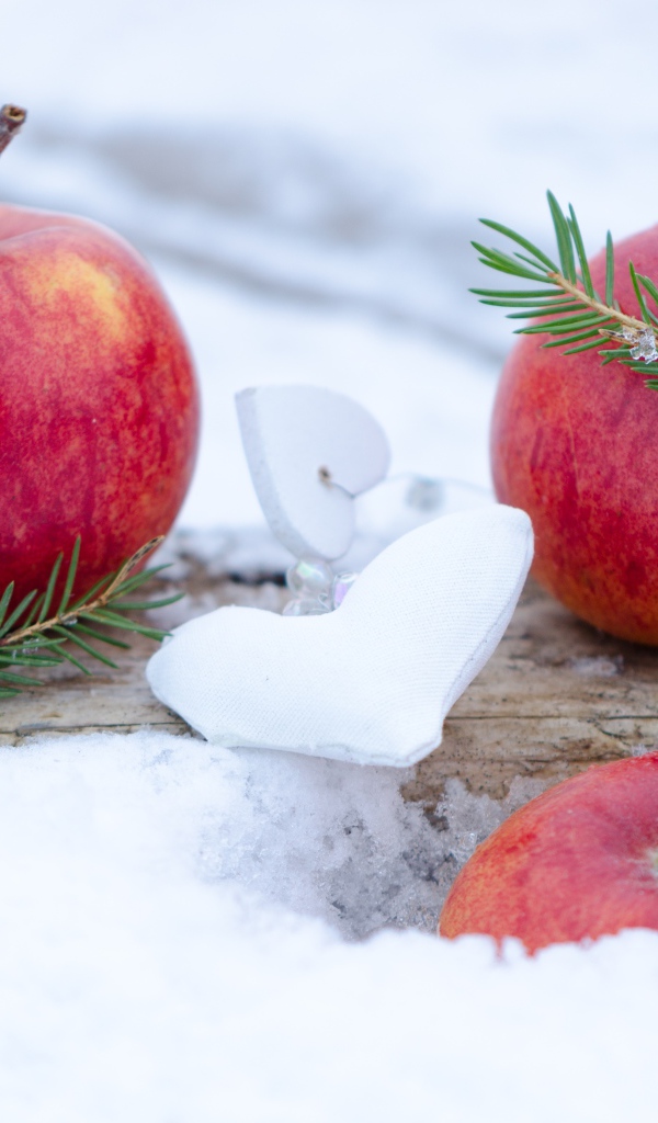Три красных яблока лежат на снегу с еловой веткой 