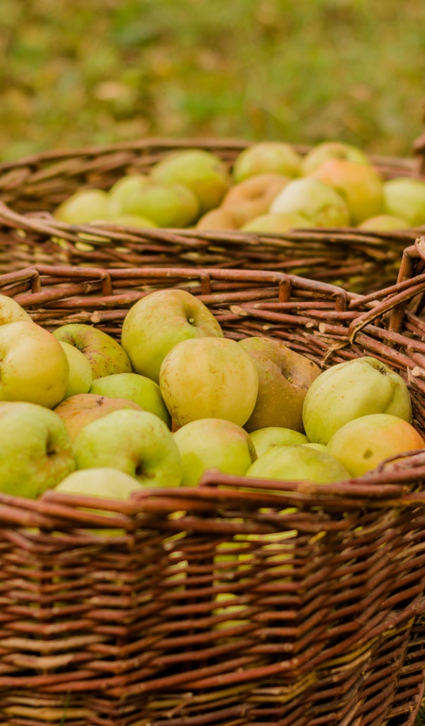 Две большие корзины с зелеными яблоками