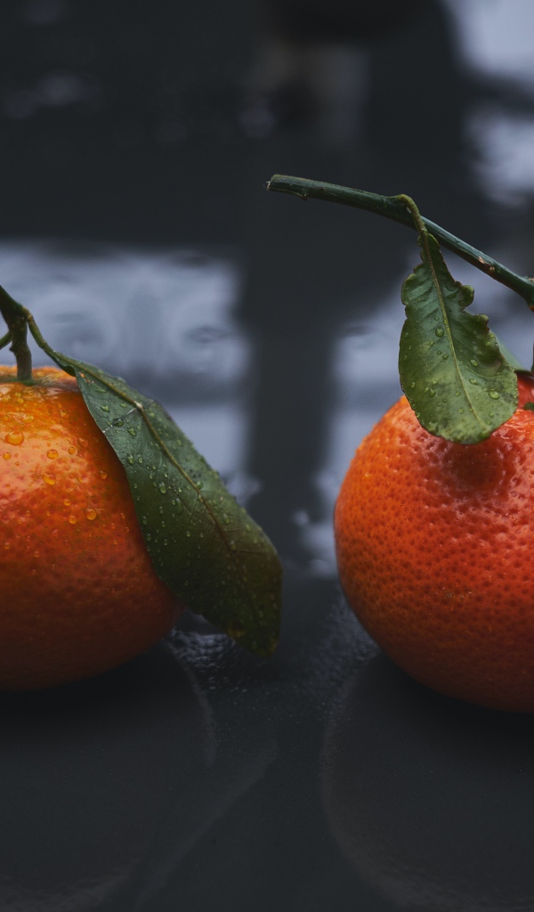 Два оранжевых мандарина лежат на мокрой поверхности 