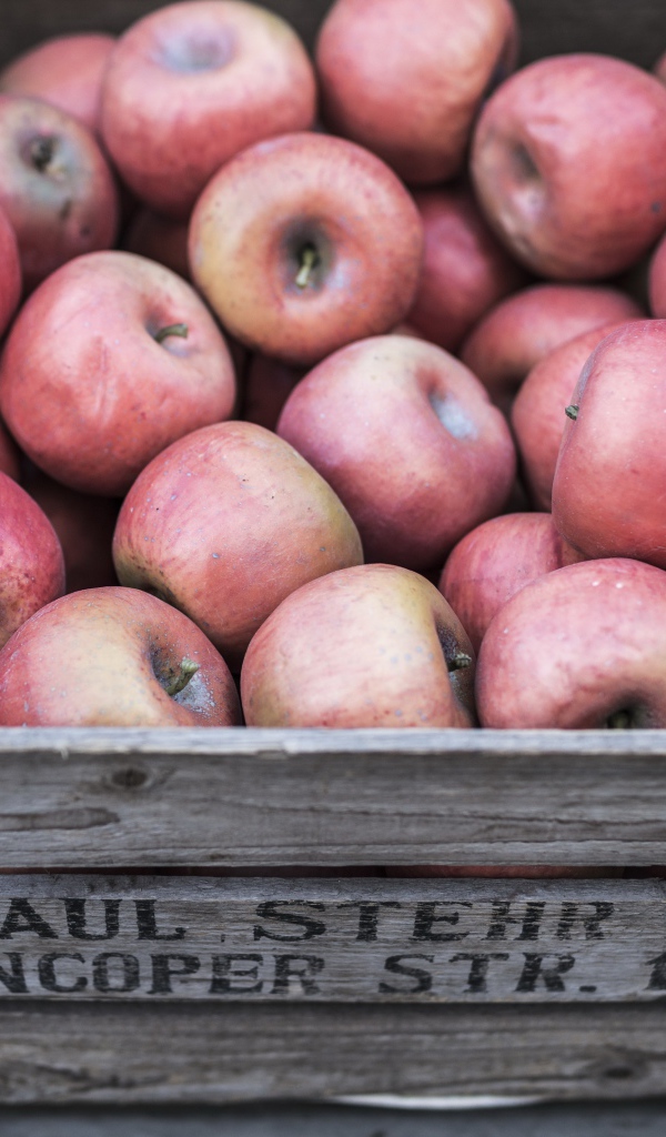 Деревянный ящик с красными спелыми яблоками