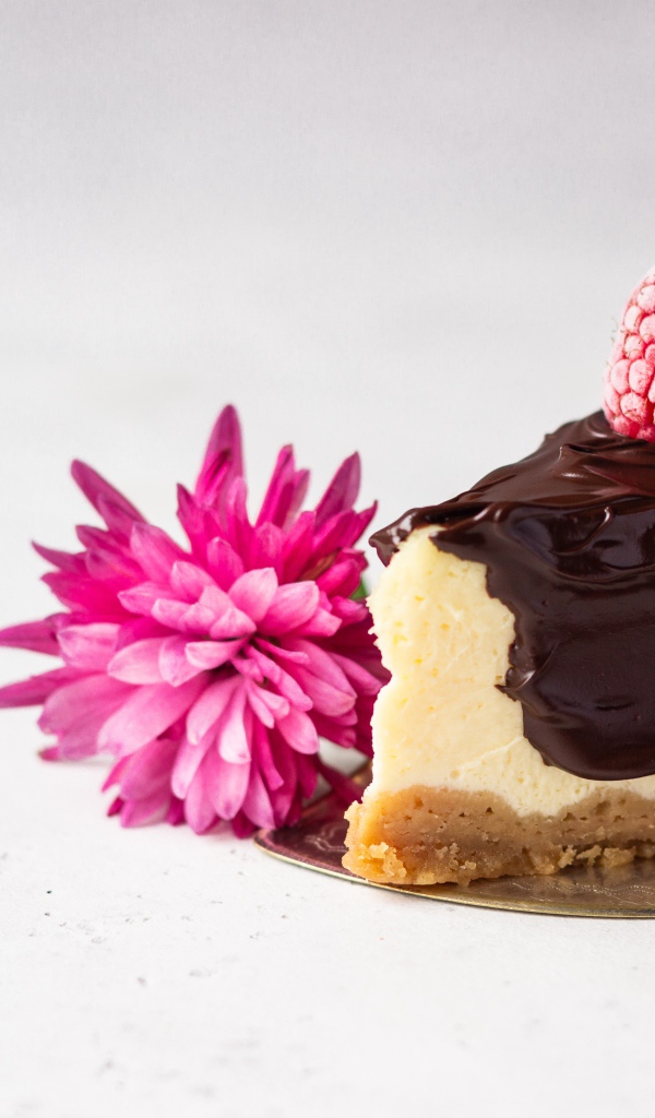 Кусок чизкейка с шоколадом на столе с малиной и цветком