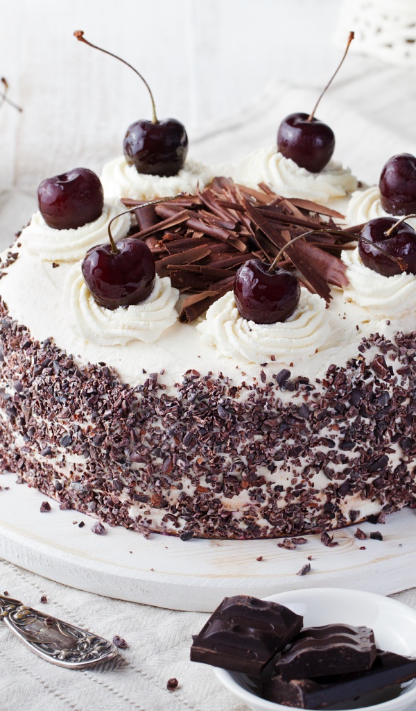 Красивый торт с кремом, шоколадом и черешней